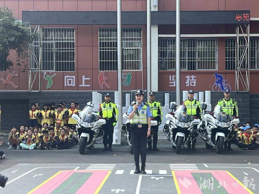 缅甸腾龙官网